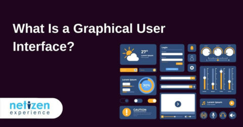 Graphical User Interface | Netizen Experience
